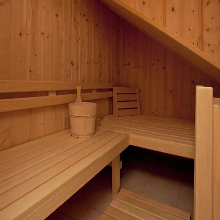 Drive-in With Sauna, Just A Short Walk From The Bus With Connections To The Wildkogel And Zillertal Arena *